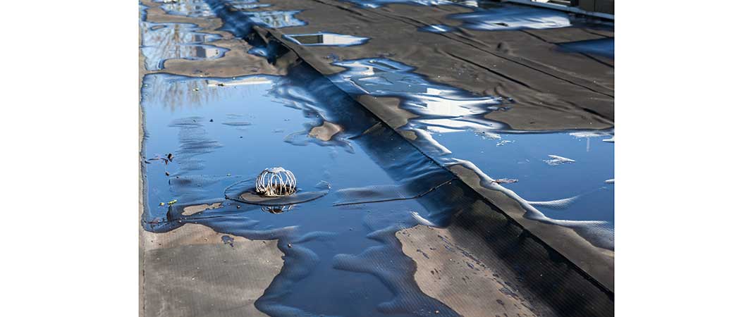 Bild von stehendem Wasser auf Flachdach