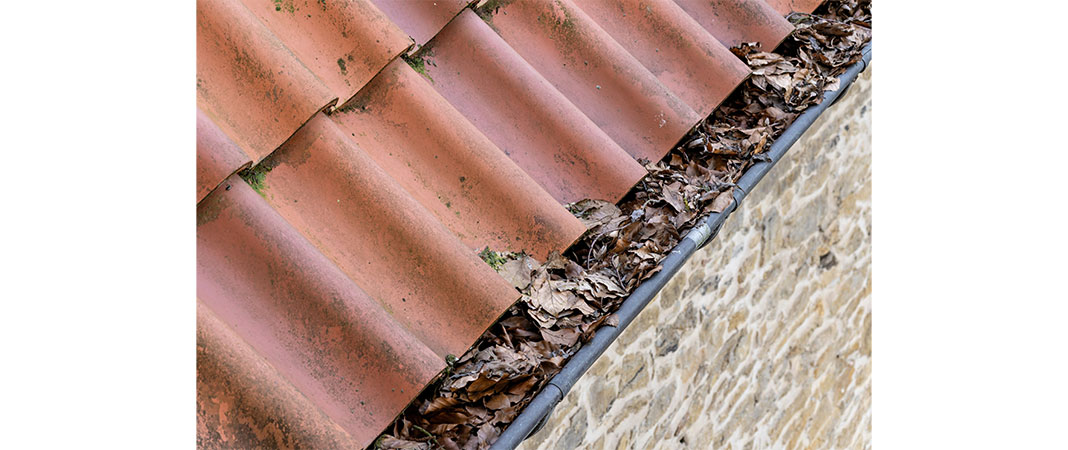 Bild von durch Laub verstopfte Regenrinne