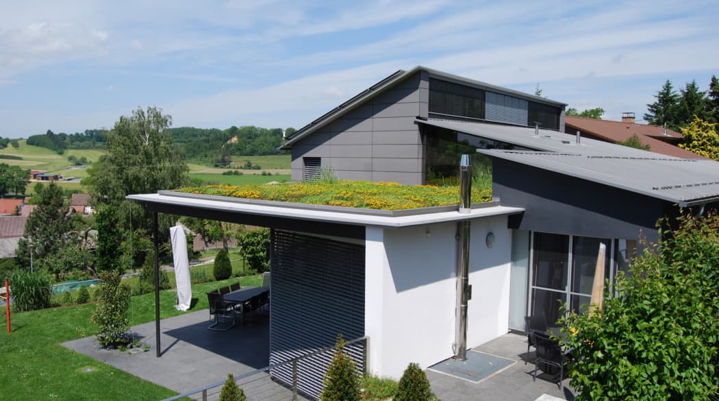 Hier verschafft die Dachbegrünung dem modernen Haus einen natürlichen Akzent, der perfekt zur Umgebung passt.