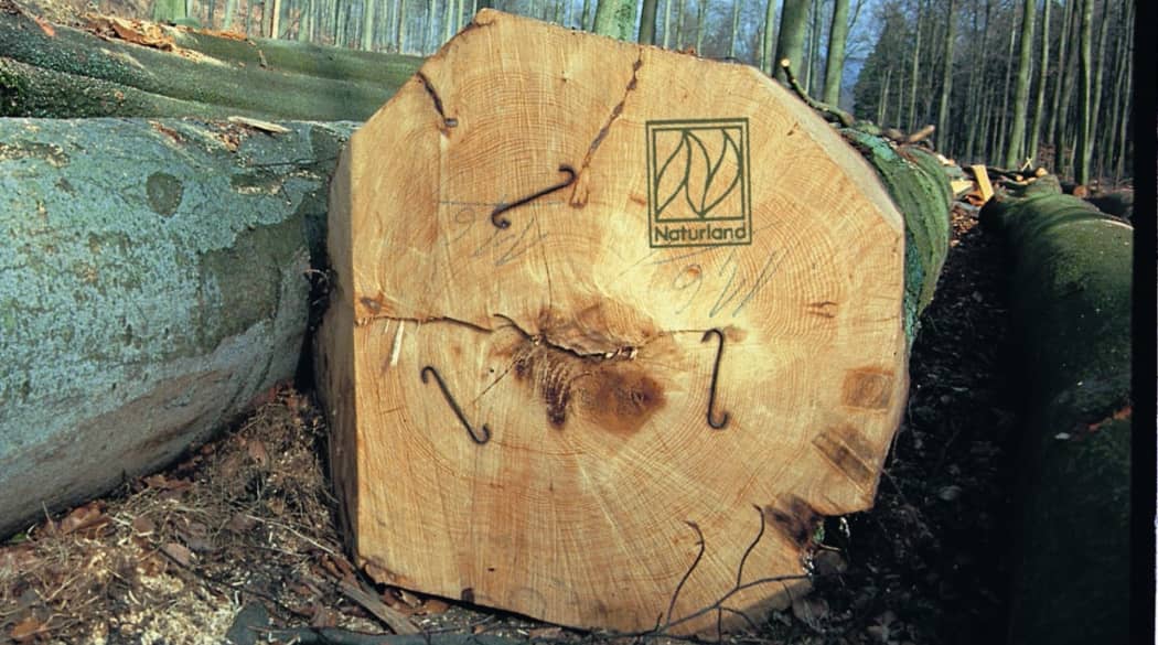 Strenge Richtlinien garantieren, dass Naturland-zertifizierte Forstbetriebe eine nachhaltige und umweltschonende Waldnutzung betreiben.