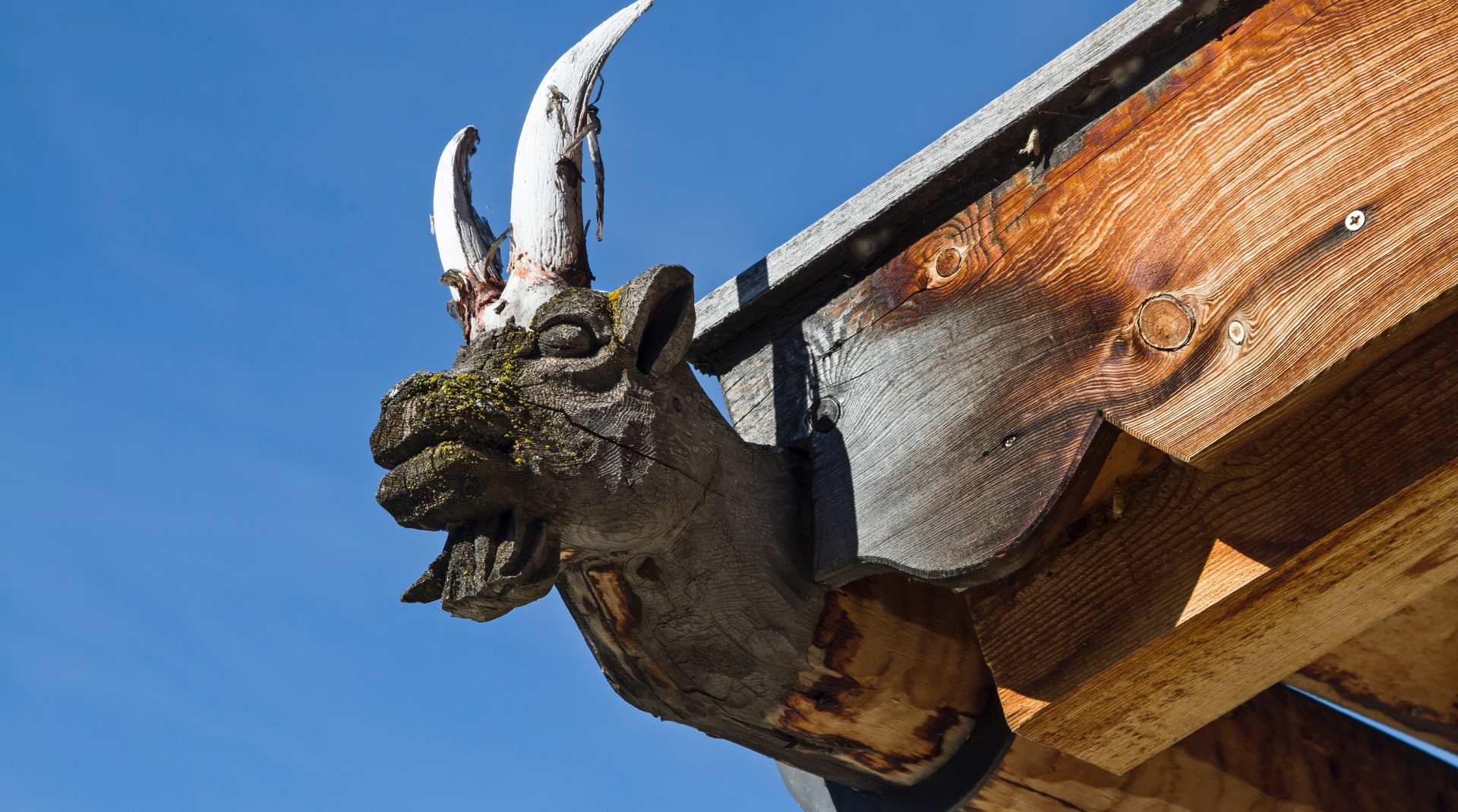Tierkopf an einer Dachrinne in Nord-Tirol.