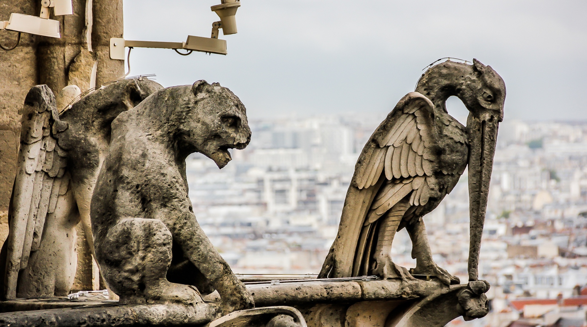 Mystisch: Wasserspeier der Kathedrale Notre-Dame.