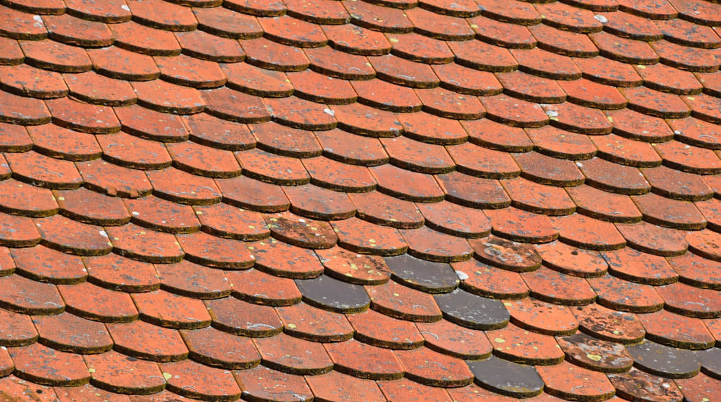 Ein Dach mit roten Biberschwanzziegeln