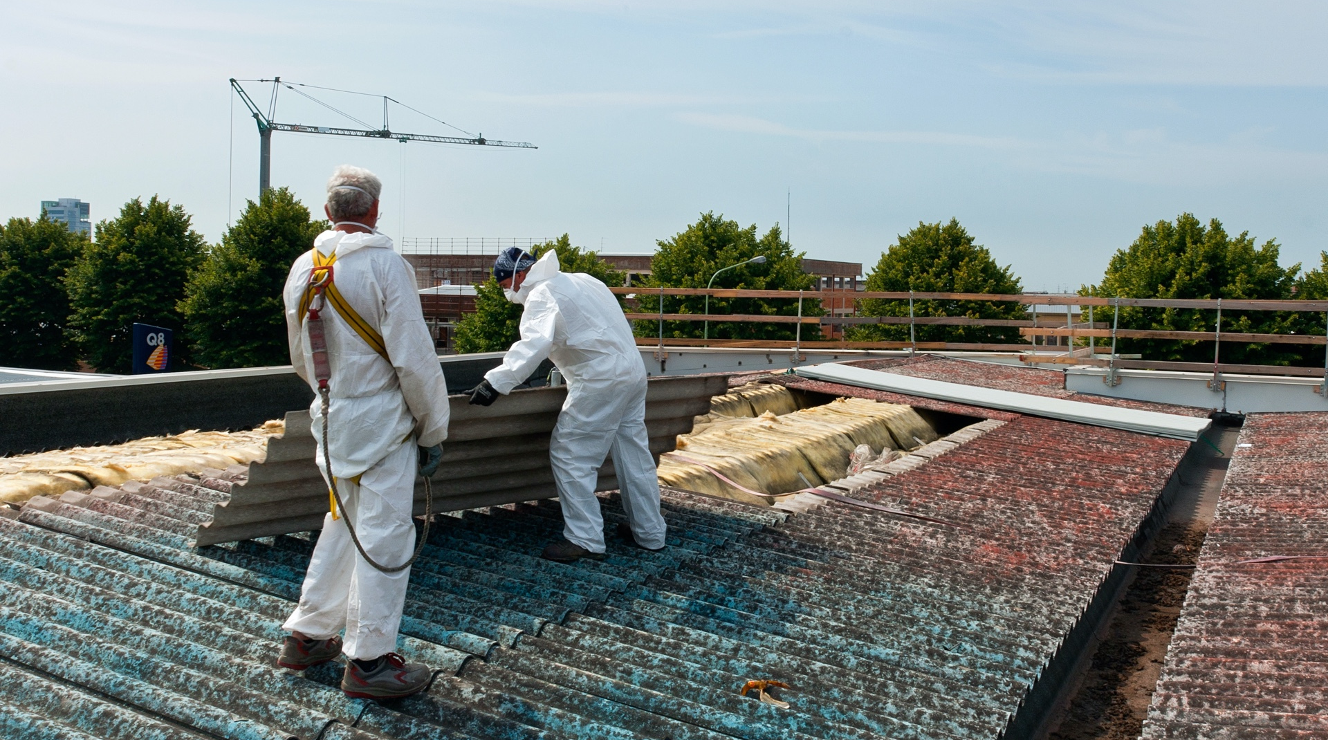 Zwei Handwerker in Schutzkleidung entfernen Astbest-Platten von einem Dach.